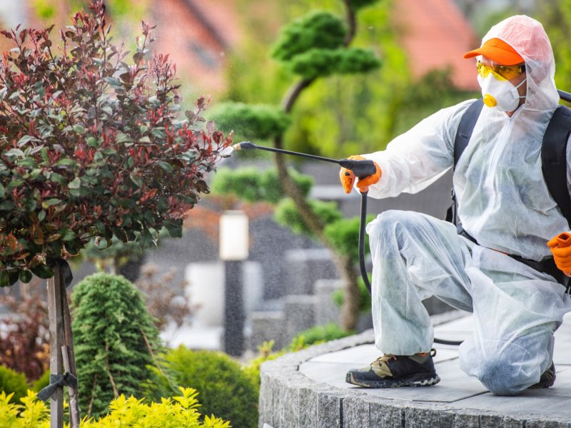 Elmalı Haşere İlaçlama